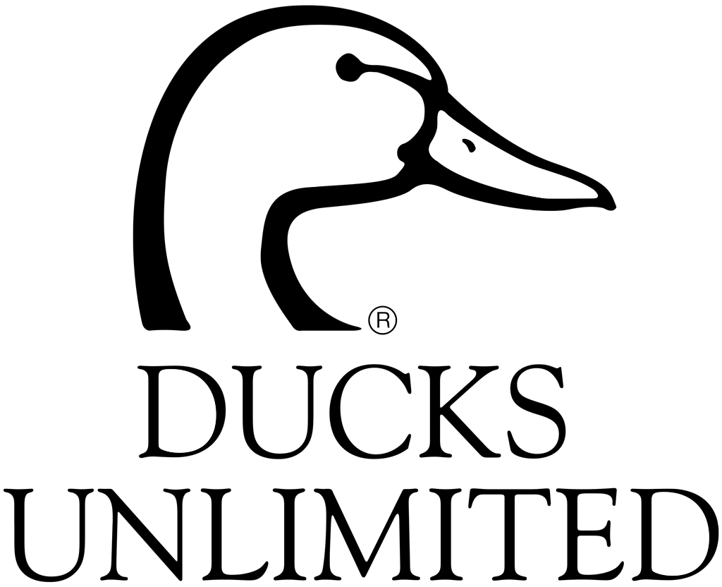 96e32180650477d569441c03e888af70566c66b8-1024x832